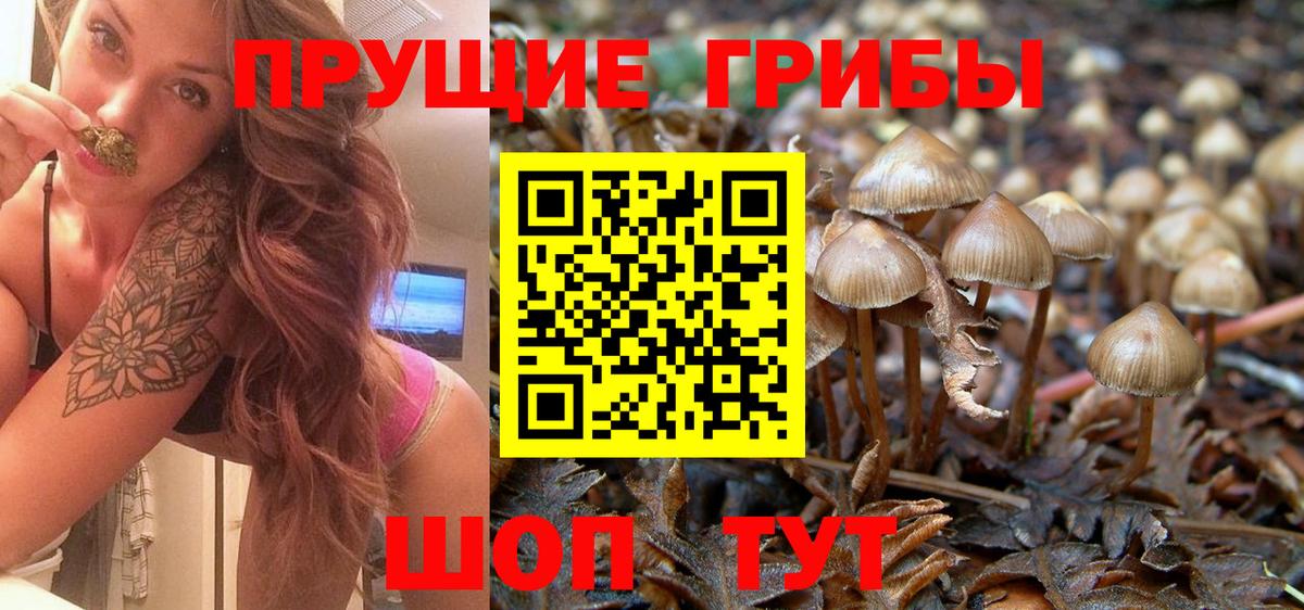 Галлюциногенные грибы Magic Shrooms Хабаровск