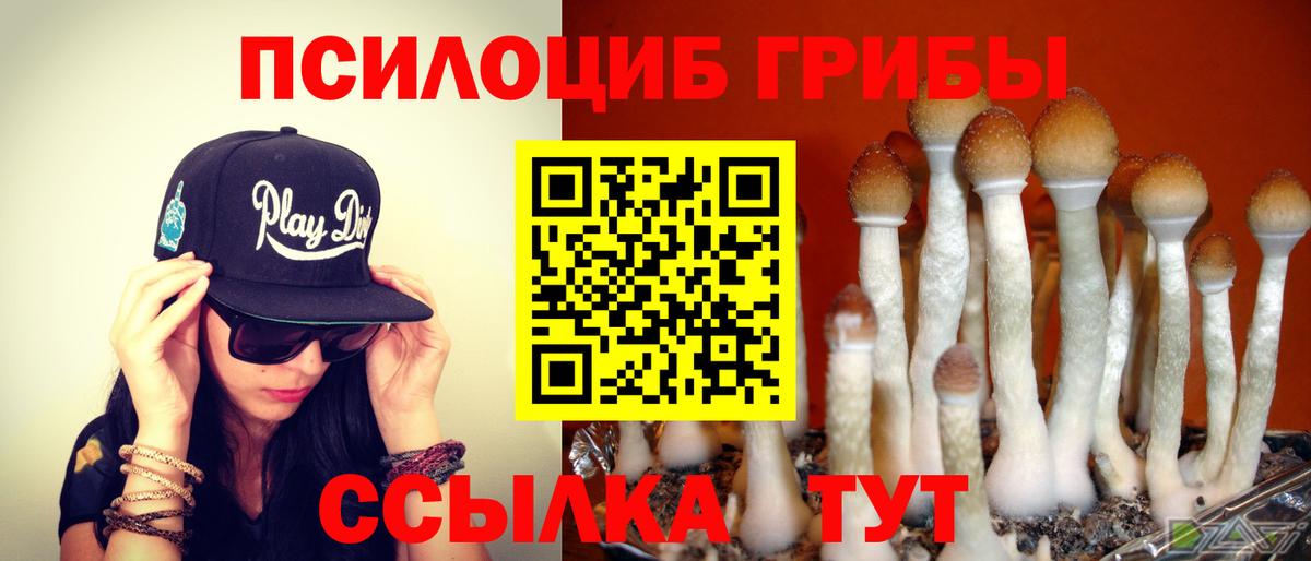 Хабаровск  Псилоцибиновые грибы Psilocybine cubensis  Вход с VPN 
